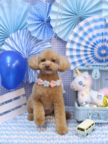 20231124めるちゃん